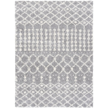 Livabliss Deluxe Shag DXS-2313 Machine Crafted Area Rug DXS2313-23